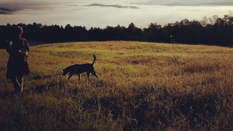 Gratitude – Everyone Can Do It!