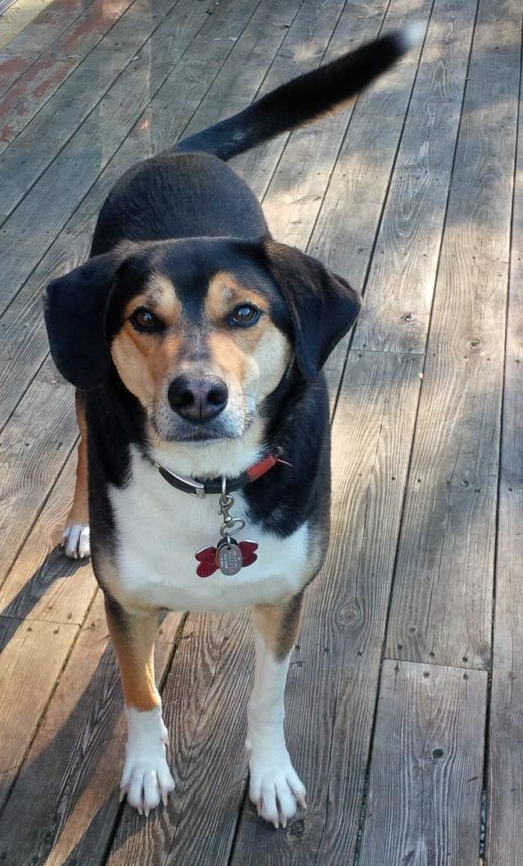 The Art of Paying Attention