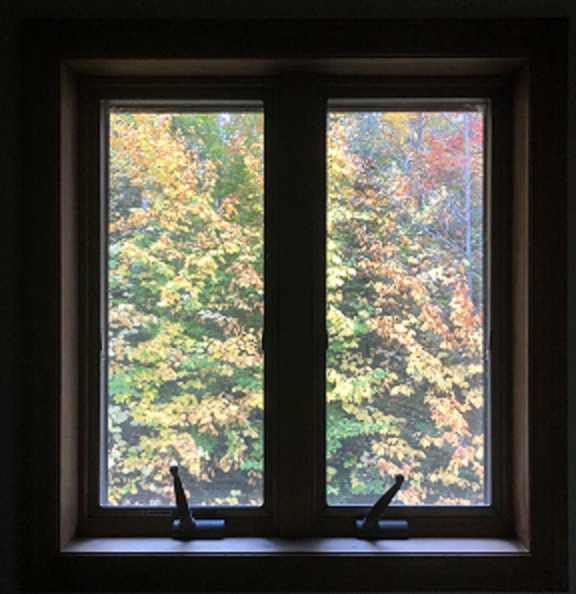 Serendipity and Inside Sales