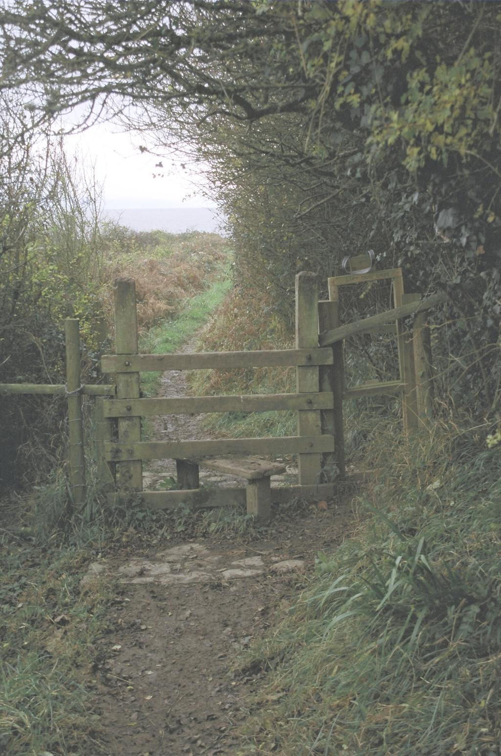 Make the Success Path EASIER