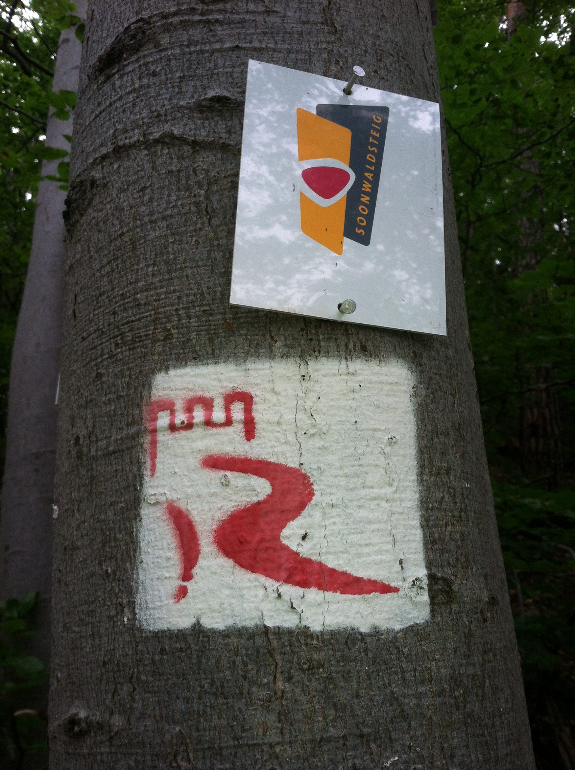 Tips To Stay On Track