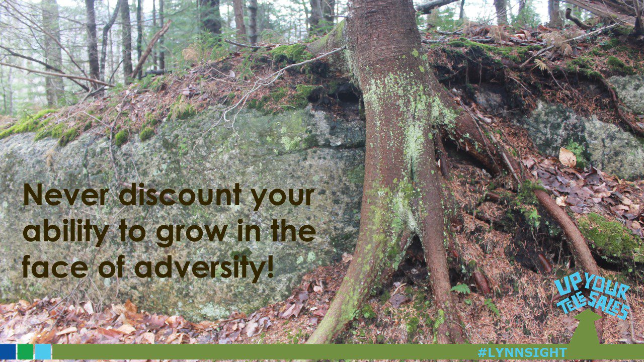 Adversity #LYNNSIGHT