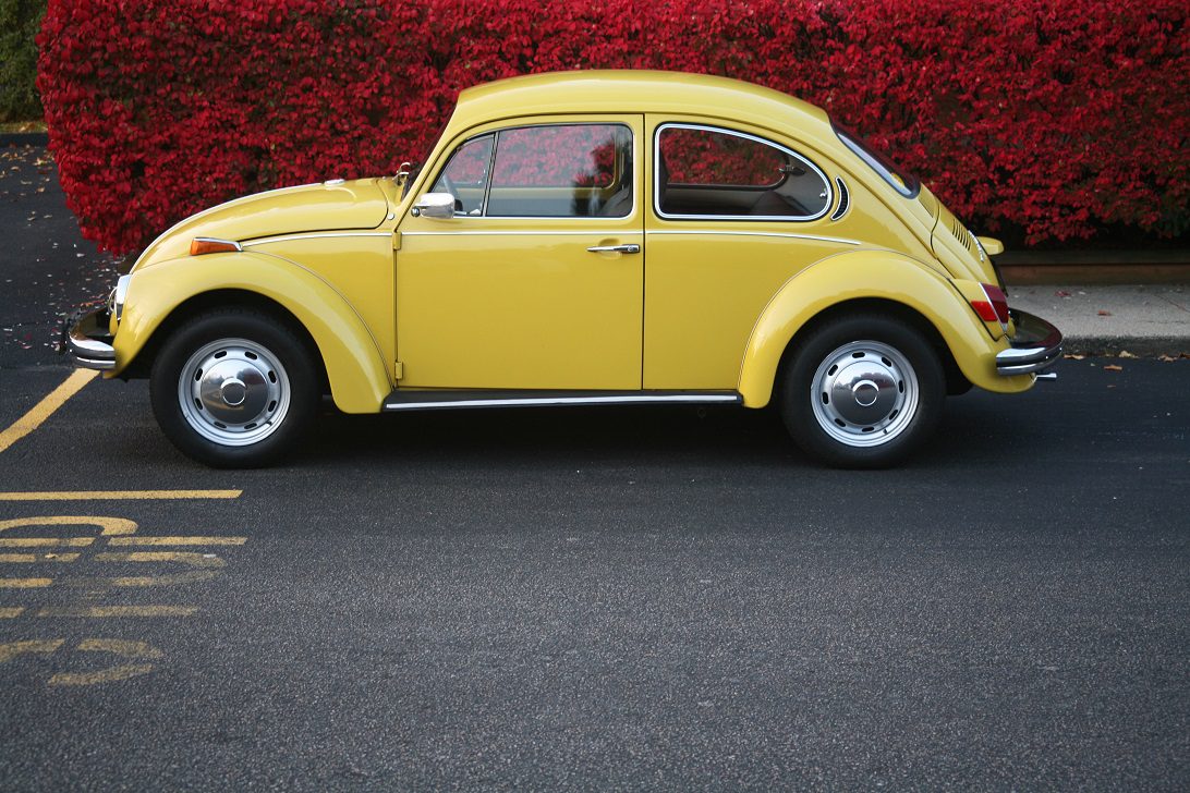 What’s Bugging You?