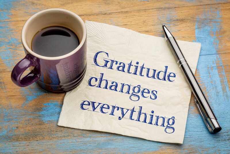 Share Your Gratitude (brief interlude)