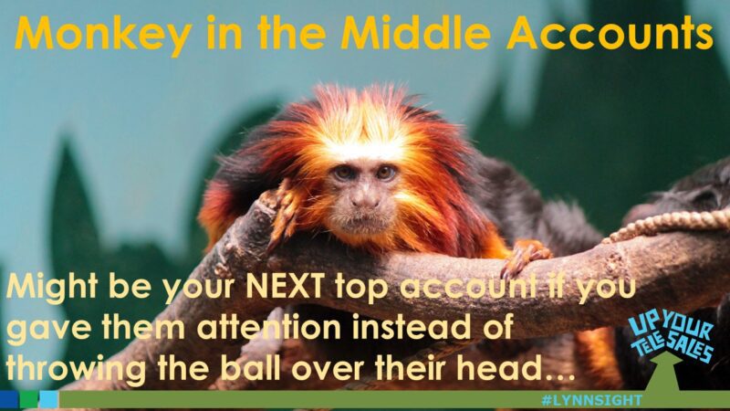 Monkey in the Middle Accounts (3 of 3)