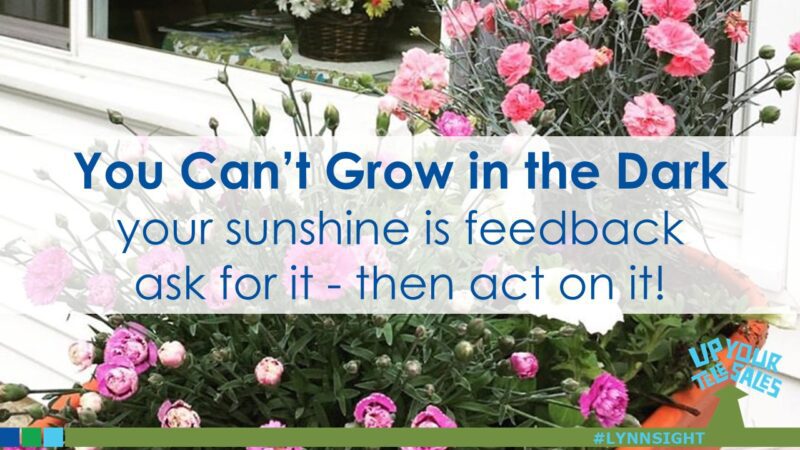Sunlight and Support: Ask for Feedback