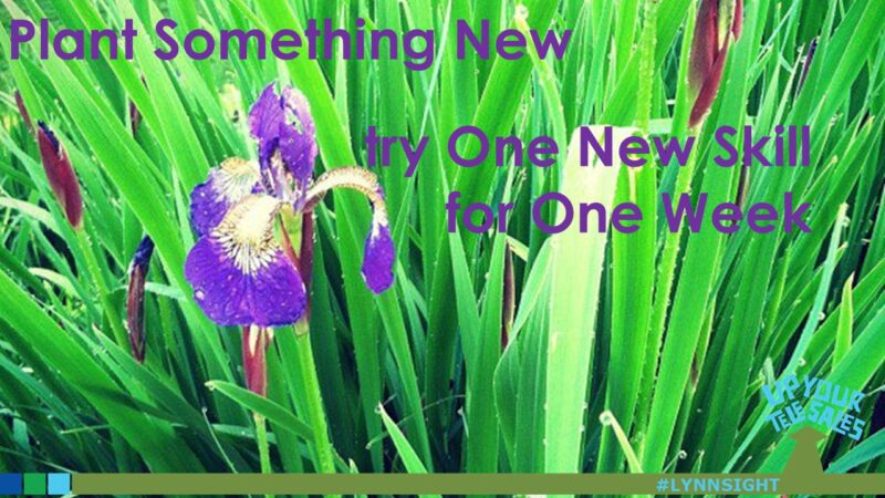 Plant Something New: One Skill, One Week