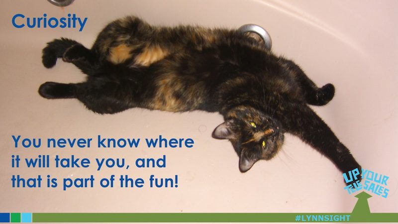 Curiosity Didn’t Kill the Sale. It Sparked It!