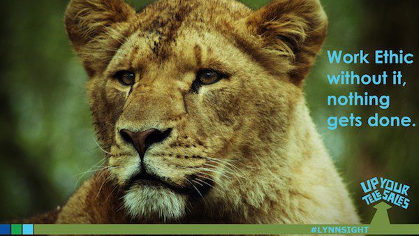 Work Ethic: without it, nothing gets done.