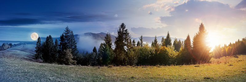 The Sales Leader’s Equinox: Balancing Leadership & Management