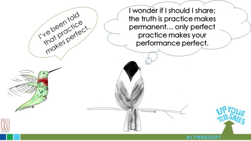Bird Brain #4: Practice Doesn’t Make Perfect