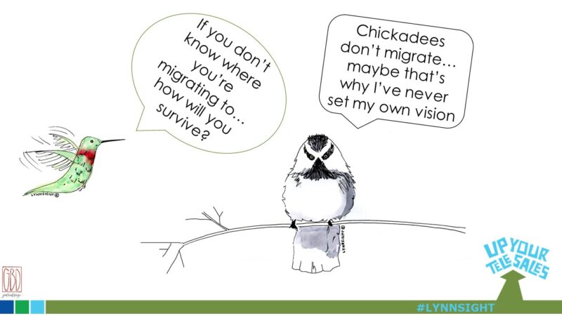 Bird Brain #2: The Vision Vacuum