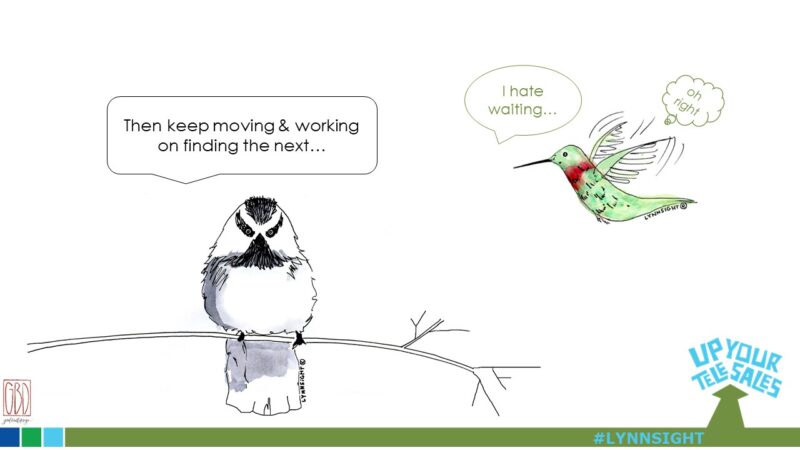 Bird Brain #3: The Wait State